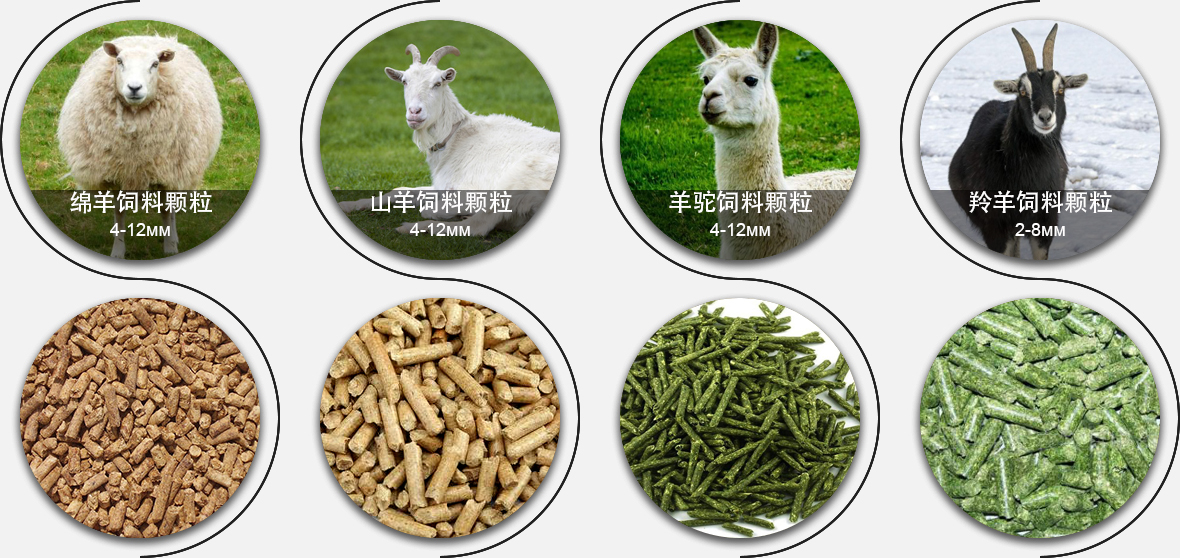 水產(chǎn)飼料顆粒對比
