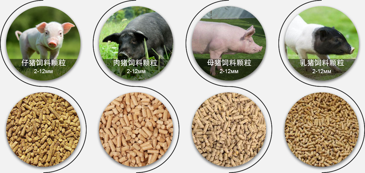 水產(chǎn)飼料顆粒對比