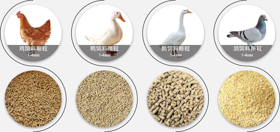 水產(chǎn)飼料顆粒對比