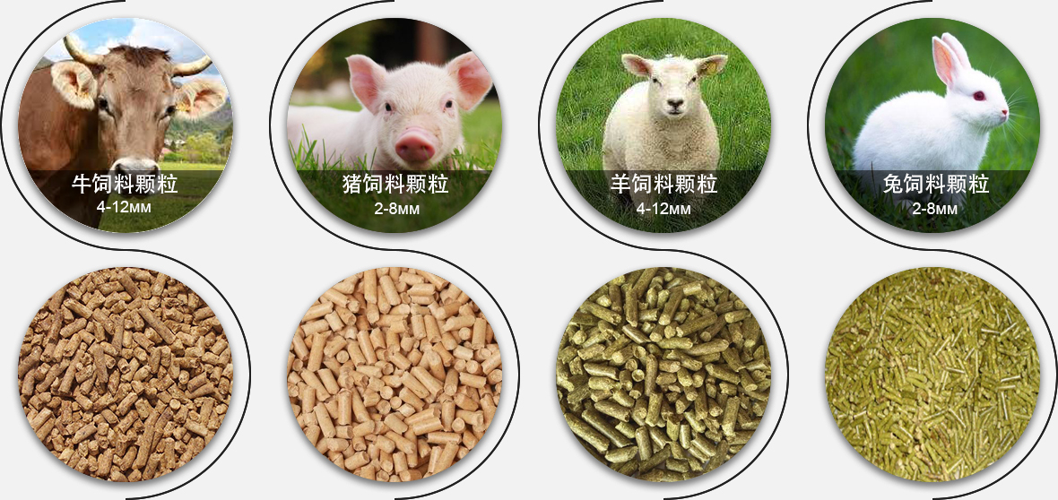 水產(chǎn)飼料顆粒對比