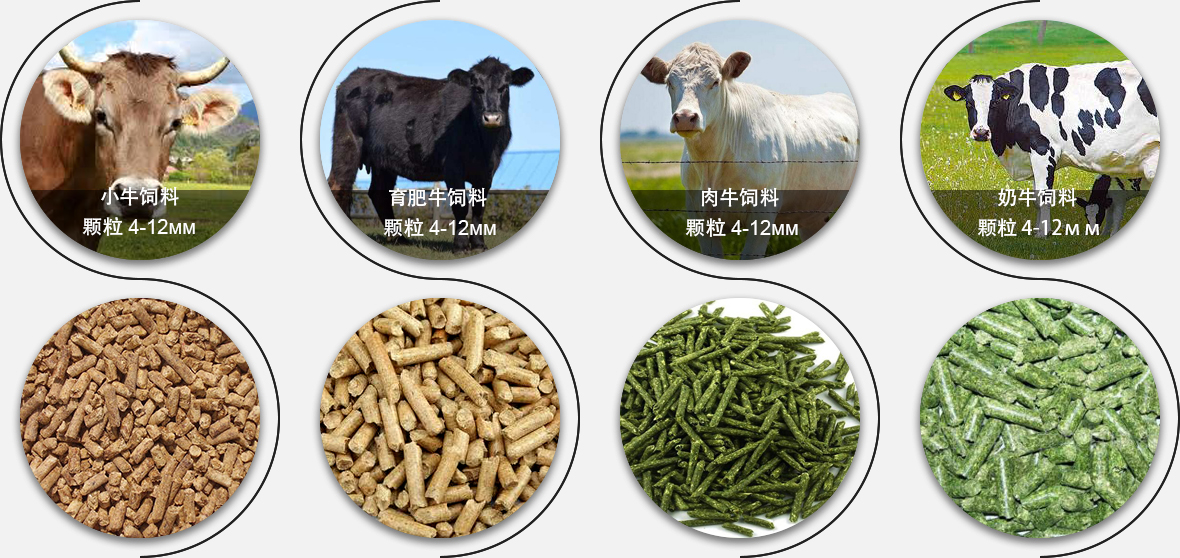 水產(chǎn)飼料顆粒對(duì)比