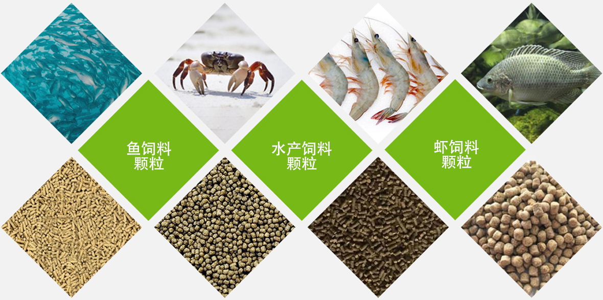 水產(chǎn)飼料顆粒對比