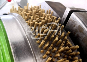 The 1-2T/H Animal Feed Pellet Line In Botswana